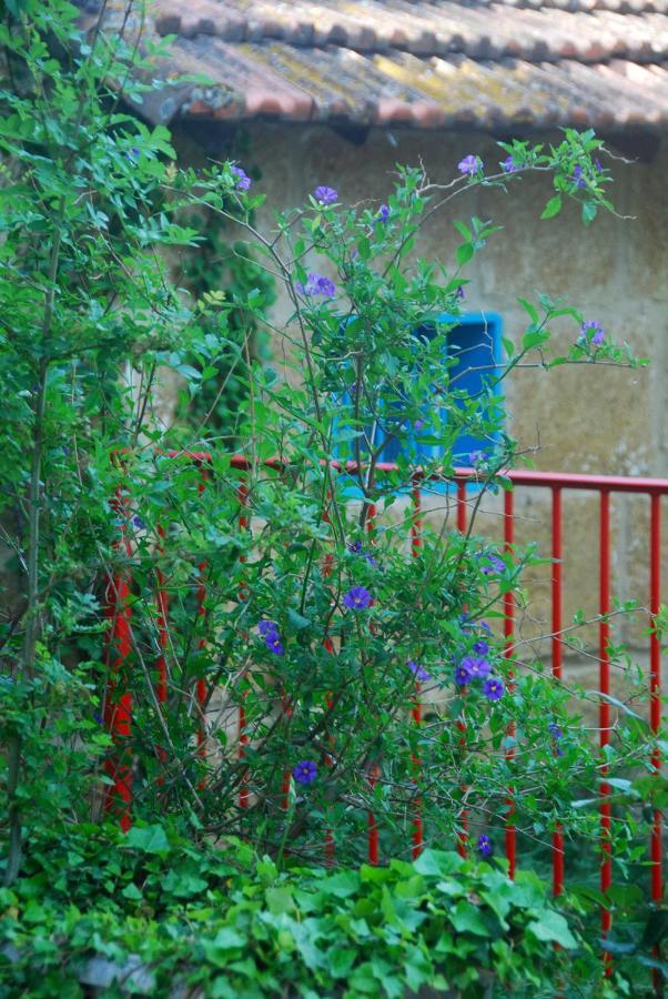 Hotel Les Volets Bleus Provence à Salon-de-Provence Extérieur photo